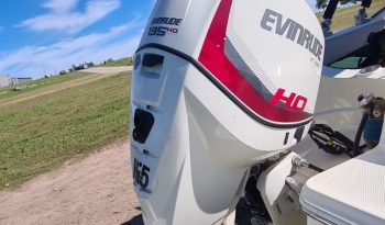 Victoria Open wake 2018 Motor Evinrude 135h 80 horas de uso full